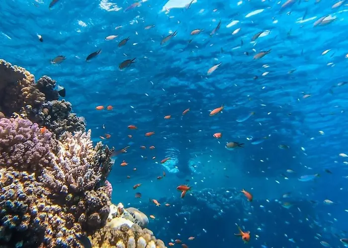 Resort Club El Faraana Reef