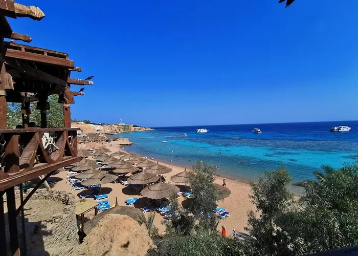 Resort Club El Faraana Reef 4*